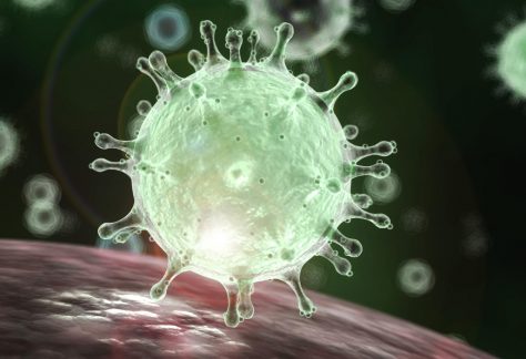 coronavirus