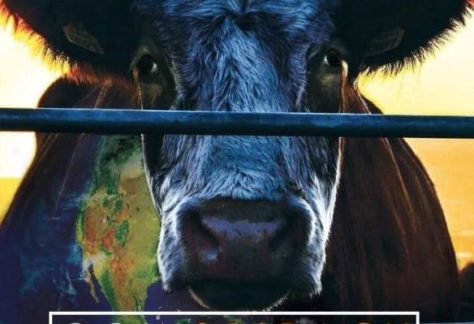 divulgação_cowspiracy