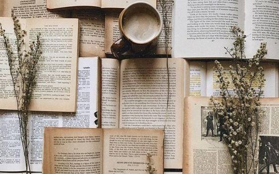 Livros flores e café decorativos