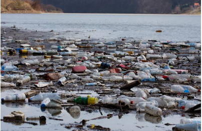 Fotografia de praia poluída. Lixo espalhado pela orla do ambiente.